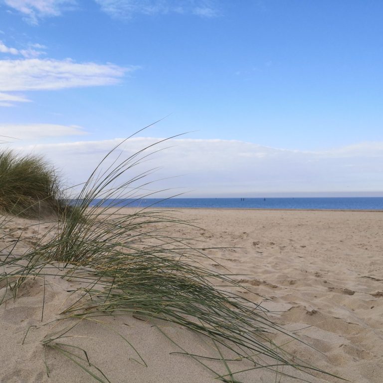 Strand Zeeland