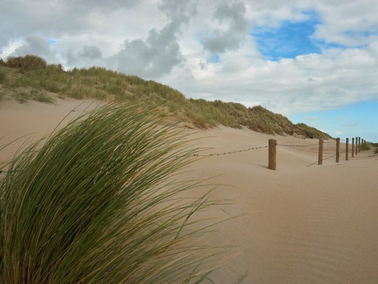 Düne Nordseestrand