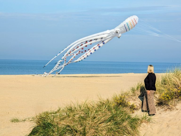 Drache am Strand
